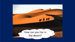how can you live in the desert