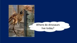 Dinosaur bones - Where do dinosaurs live today?