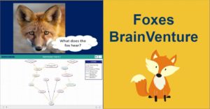 foxes brainventure