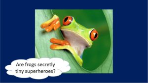 are frogs secretly tiny superheros