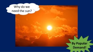 why do we need the sun?