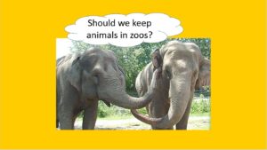 should we keep animals in zoos?